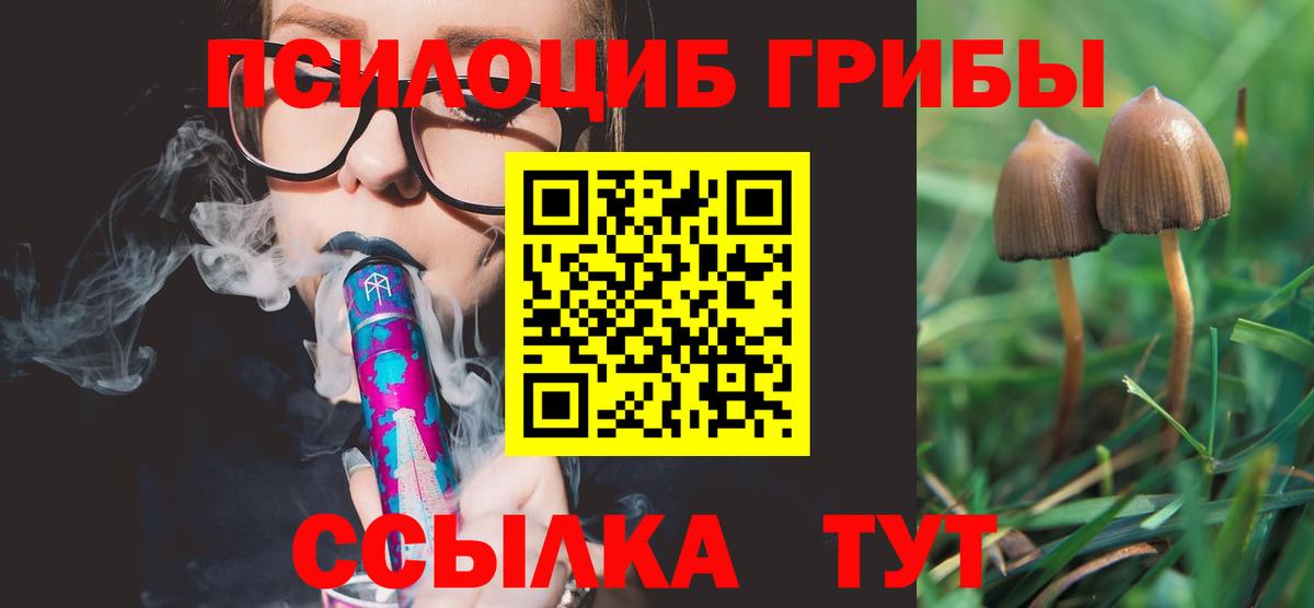 как найти наркотики  Галлюциногенные грибы Magic Shrooms  Вход с VPN  Прохладный 